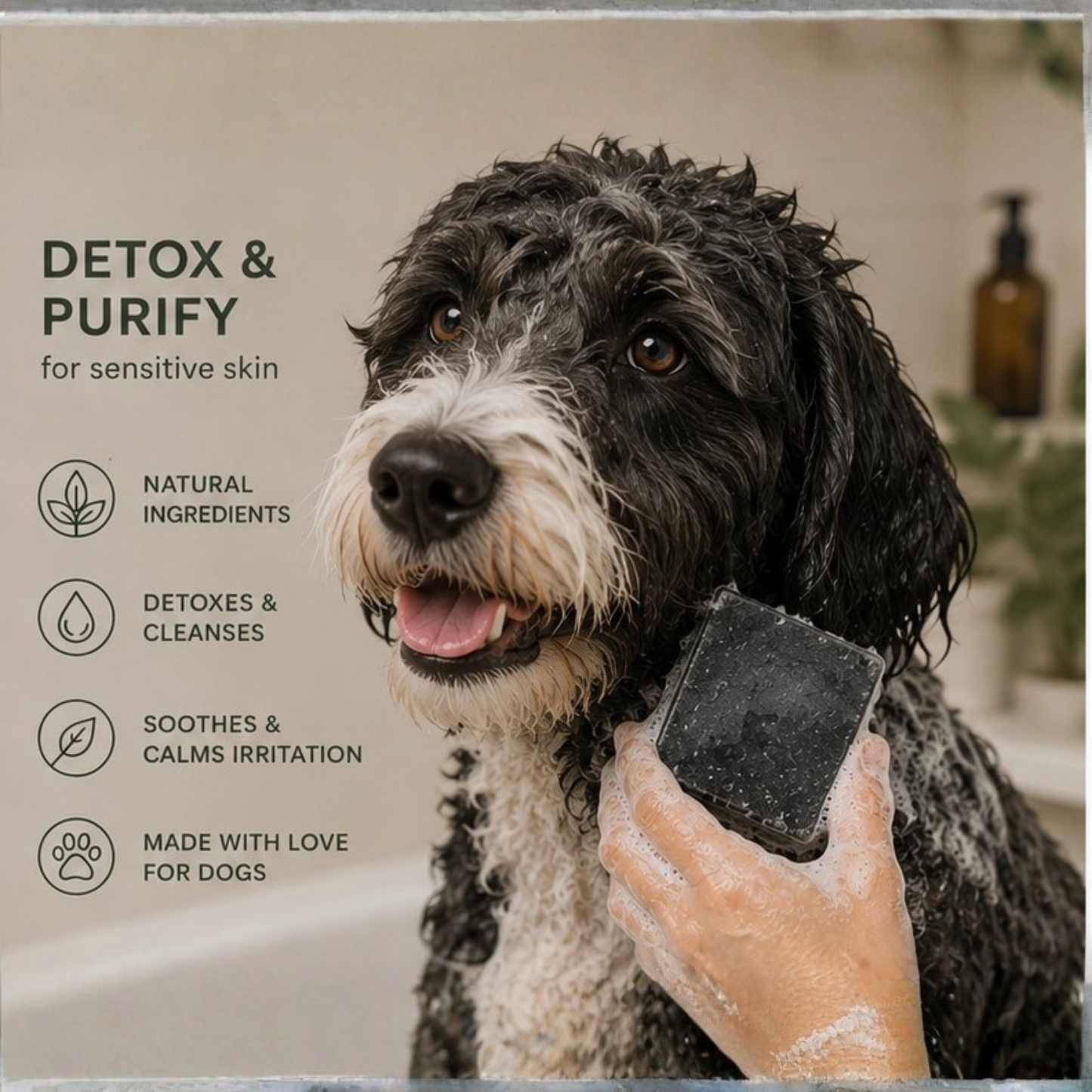 Detox Dog Shampoo Bar