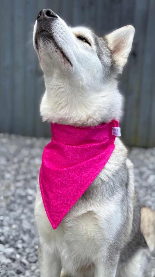 Custom Dog Bandana