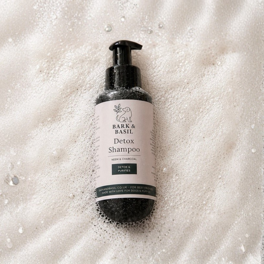 Detox Shampoo