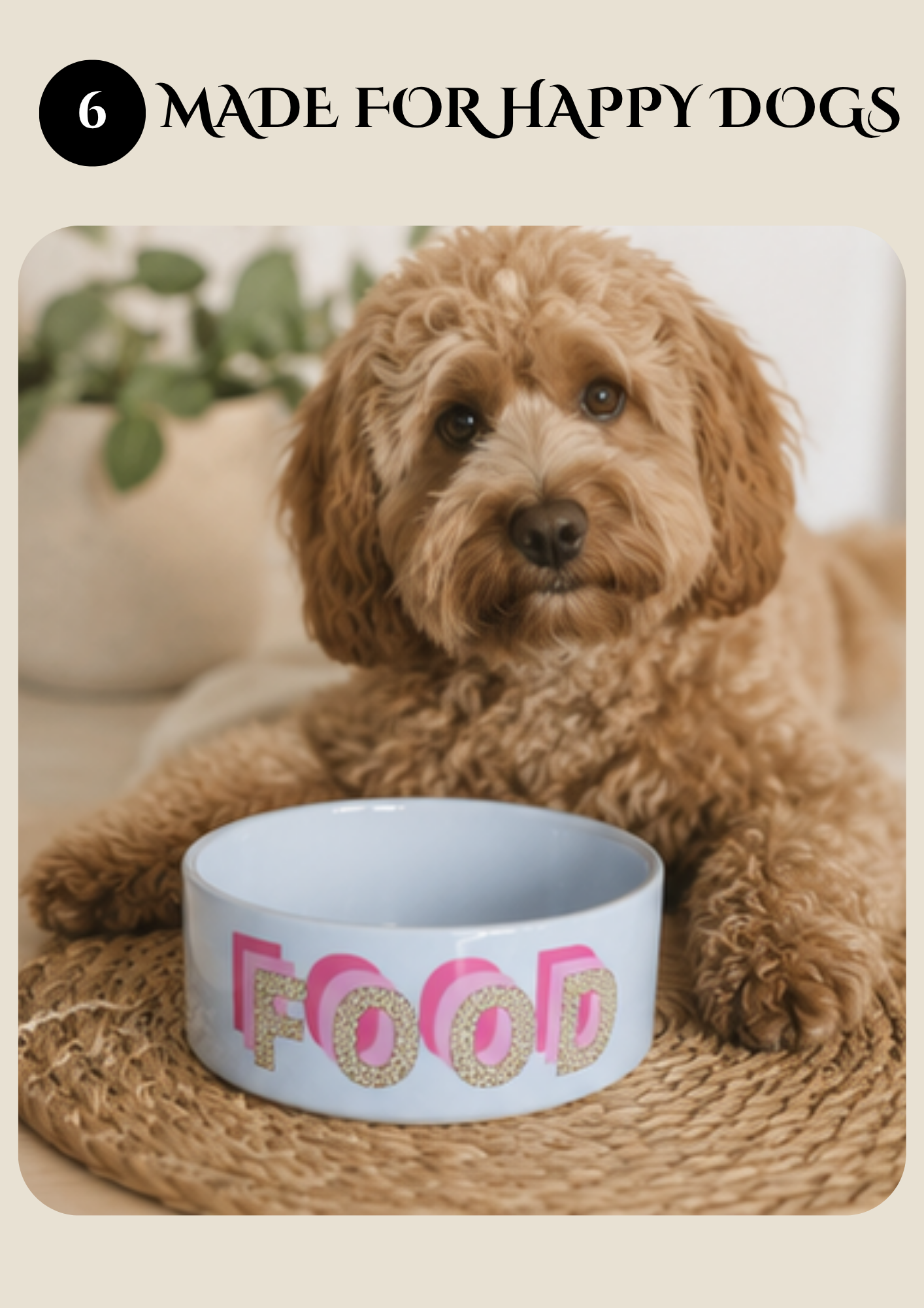 Personalised Dog Bowls