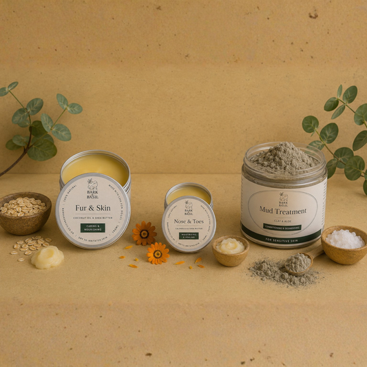 Skin Care Essentials Bundle