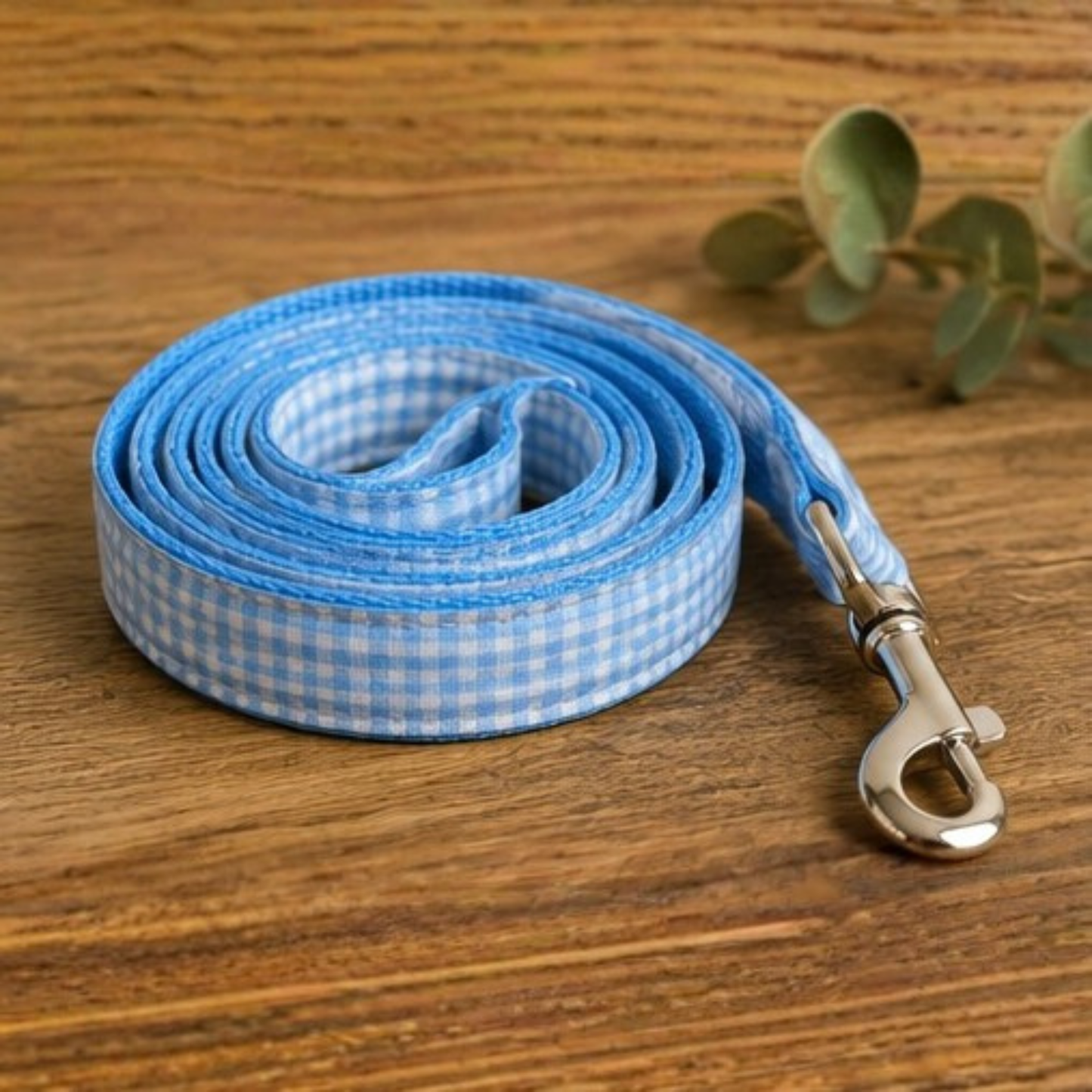 Blue & White Gingham Collar and Lead Set