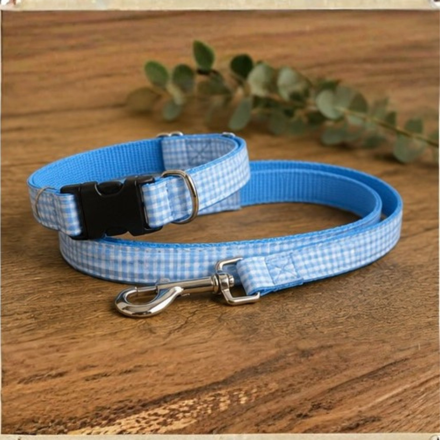 Blue & White Gingham Collar and Lead Set