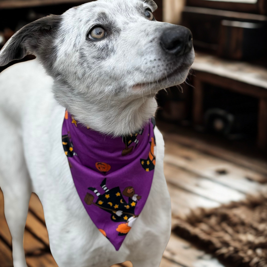 Halloween Bandana