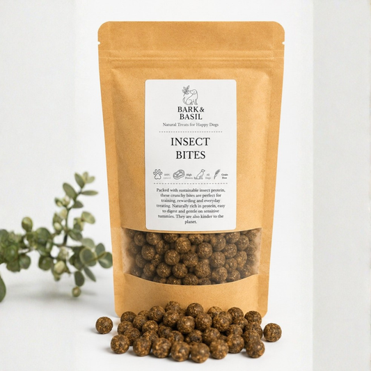 Insect Bites