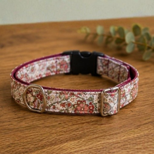 Red Paisley Dog Collar & Lead Set